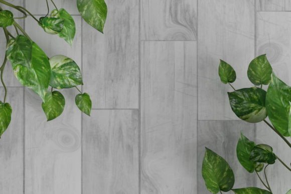 Download Leaf Background - Leaf Flatlay - Premium Resources